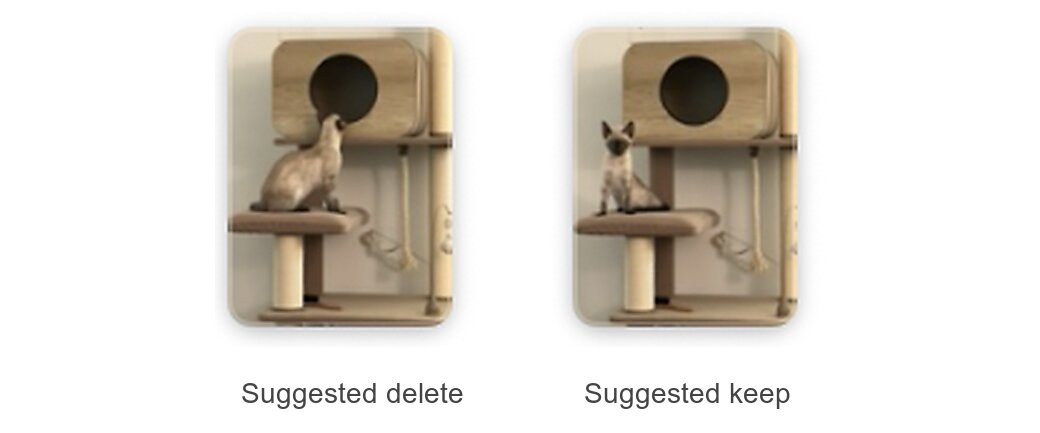 Two photos from one burst of Chandi on her cat tree: looking up at the box on the left, labeled suggested delete, and facing the camera on the right, labeled suggested keep.
